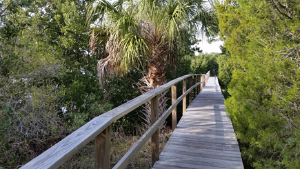 boardwalk on the nature trail