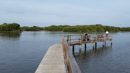 fishing pier at the end of the nature trail